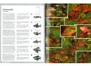 Akvarijní ryby  velký obrazový atlas