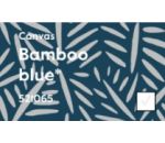 Barva: Bamboo Blue 2022