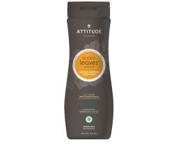 Přírodní pánský šampón a tělové mýdlo (2 v 1) Attitude Super leaves s detoxikačním účinkem - normální vlasy 473 ml